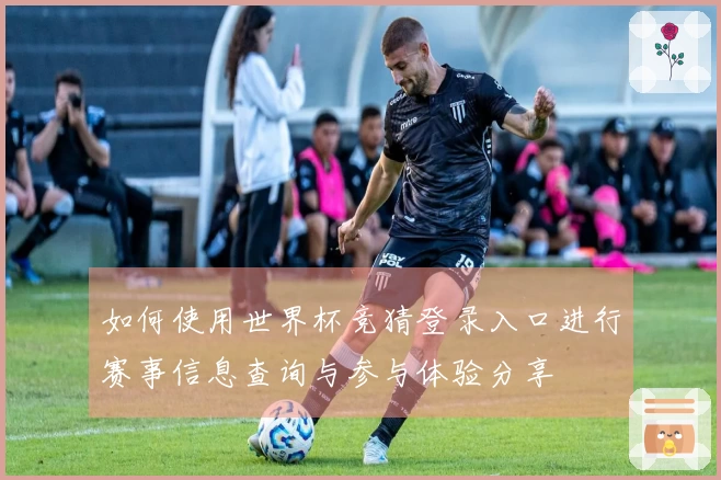 如何使用世界杯竞猜登录入口进行赛事信息查询与参与体验分享