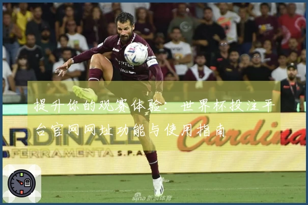 提升你的观赛体验：世界杯投注平台官网网址功能与使用指南