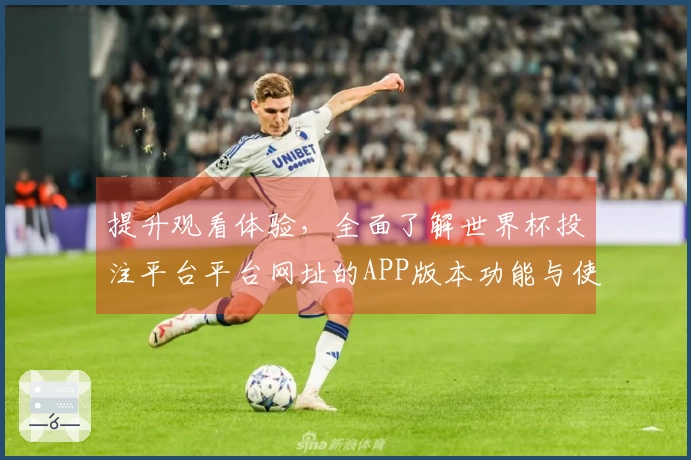 提升观看体验，全面了解世界杯投注平台平台网址的APP版本功能与使用指南
