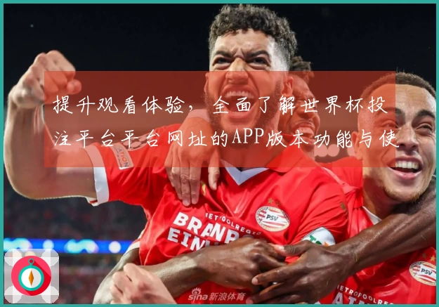 提升观看体验，全面了解世界杯投注平台平台网址的APP版本功能与使用指南