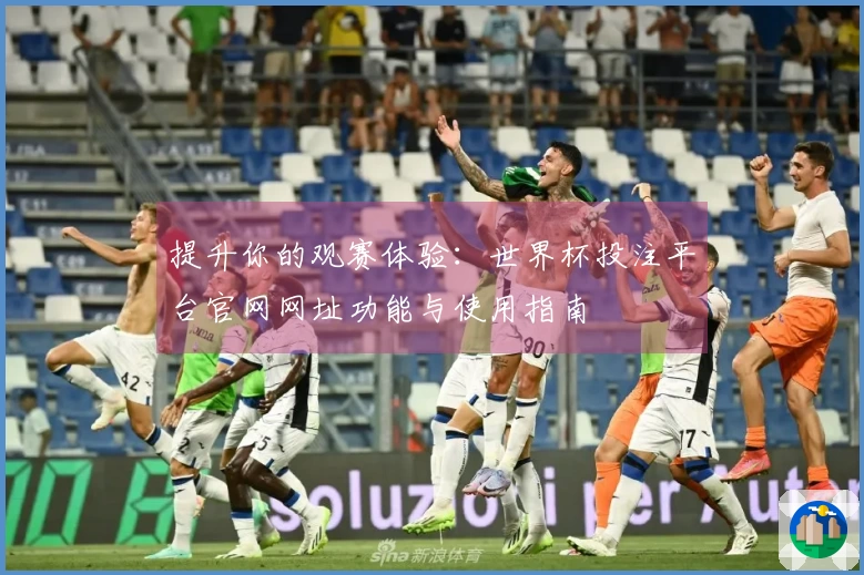 提升你的观赛体验：世界杯投注平台官网网址功能与使用指南