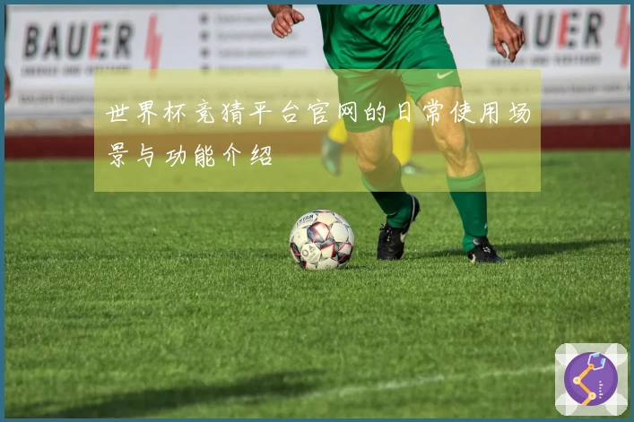 世界杯竞猜平台官网的日常使用场景与功能介绍