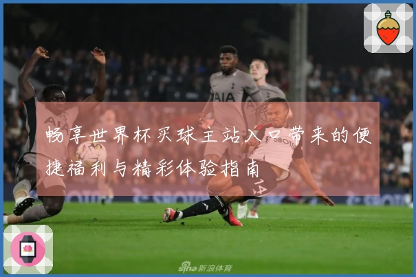 畅享世界杯买球主站入口带来的便捷福利与精彩体验指南
